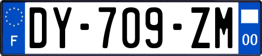 DY-709-ZM