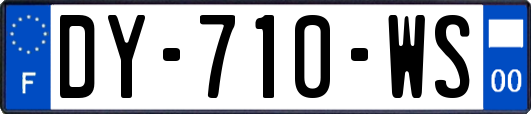 DY-710-WS