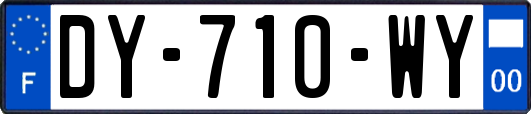 DY-710-WY