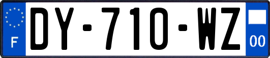 DY-710-WZ