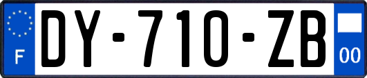 DY-710-ZB