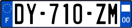 DY-710-ZM