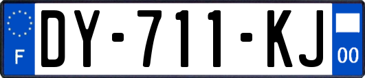 DY-711-KJ