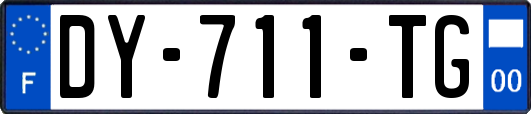 DY-711-TG