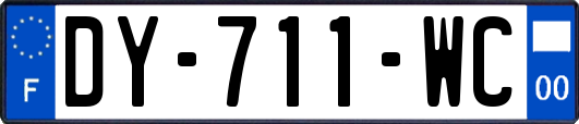 DY-711-WC