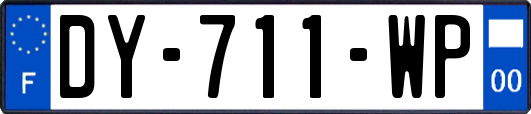 DY-711-WP