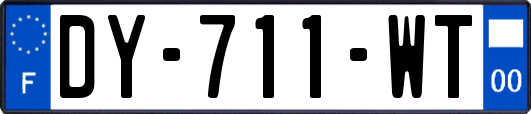 DY-711-WT