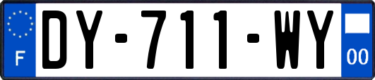 DY-711-WY