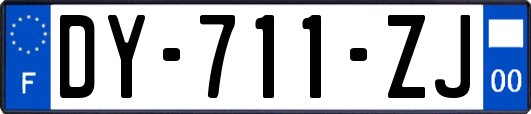 DY-711-ZJ