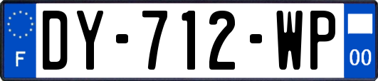 DY-712-WP