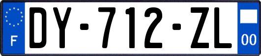 DY-712-ZL