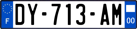 DY-713-AM