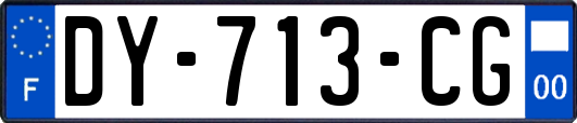 DY-713-CG