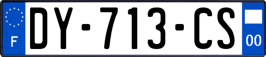 DY-713-CS