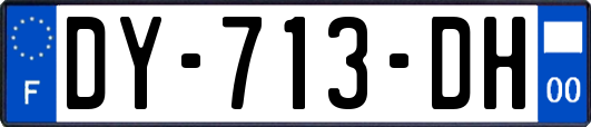 DY-713-DH