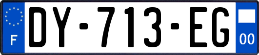 DY-713-EG