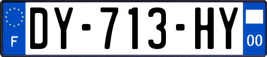 DY-713-HY