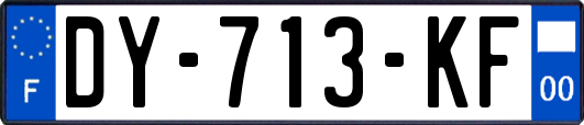 DY-713-KF