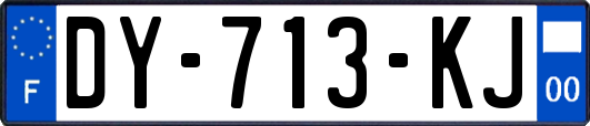 DY-713-KJ