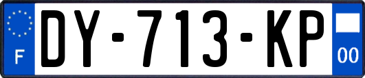 DY-713-KP