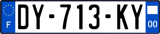 DY-713-KY