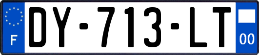 DY-713-LT