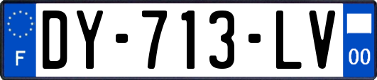 DY-713-LV