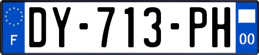 DY-713-PH