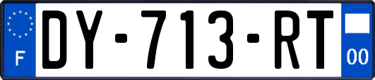 DY-713-RT