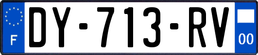 DY-713-RV