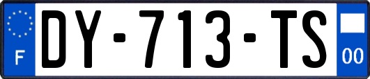 DY-713-TS