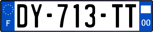 DY-713-TT