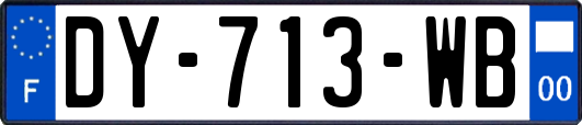 DY-713-WB