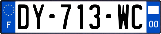 DY-713-WC