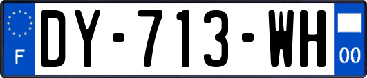 DY-713-WH