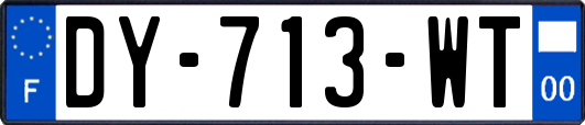 DY-713-WT