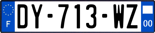 DY-713-WZ