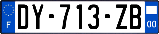 DY-713-ZB