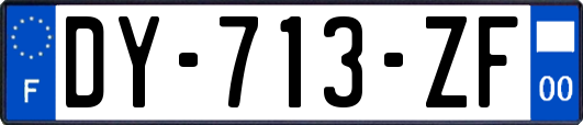 DY-713-ZF