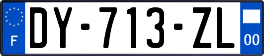 DY-713-ZL