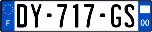 DY-717-GS