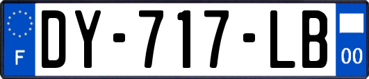 DY-717-LB