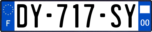 DY-717-SY