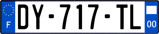 DY-717-TL