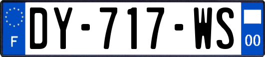 DY-717-WS