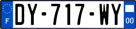 DY-717-WY