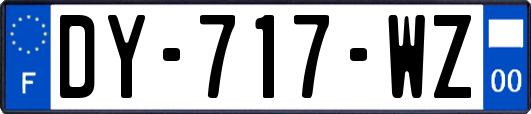 DY-717-WZ