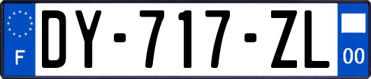 DY-717-ZL