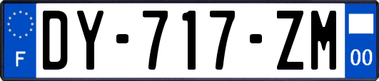 DY-717-ZM