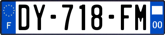 DY-718-FM